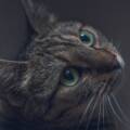 Article de test 3